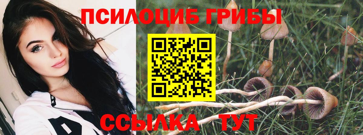 Протвино  Псилоцибиновые грибы прущие грибы  наркошоп  Вход с VPN 